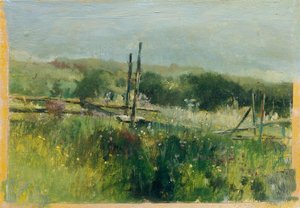 Wiese mit Zaun