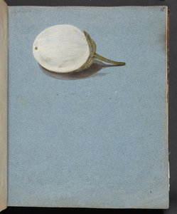 Studie von Beeren