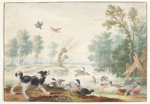 Ein Hund und Enten am See