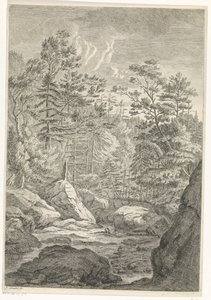 Schlucht mit Bäumen und einem Bach