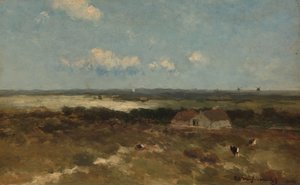 Dünenlandschaft