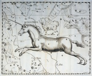 Monoceros, Sternbild des Einhorns, Gravur aus dem Himmelsatlas Firmamentum Sobiescianum sive Uronographia, von Johann Hevelius (1611-1687), Danzig von Johannes Hevelius
