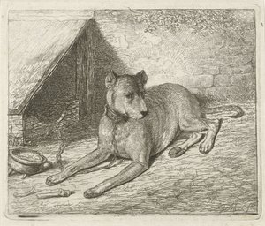 Hund an einer Kette bei einer Hundehütte