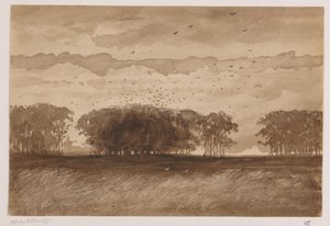 Saatkrähenkolonie in Nordbrabant von Johannes Tavenraat (signed by artist)