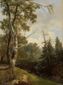 Waldstück bei Wolfheze (Bosgezicht bij Wolfheze)