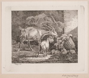 Eine Ziege, ein Zicklein und Kaninchen in einem Stall von Johannes Wilhelm Zillen