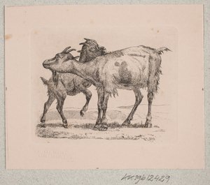 Eine Ziege mit ihrem Kitz von Johannes Wilhelm Zillen