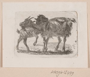 Eine Ziege mit ihrem Kitz von Johannes Wilhelm Zillen