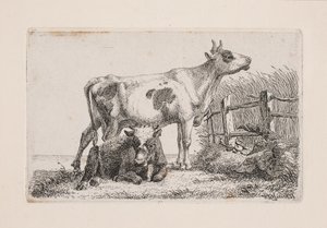 Eine ruhende und eine stehende Kuh