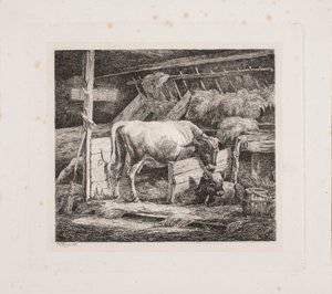 Ein Kuhstall von Johannes Wilhelm Zillen