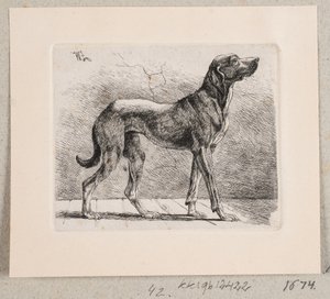 Ein stehender Hund