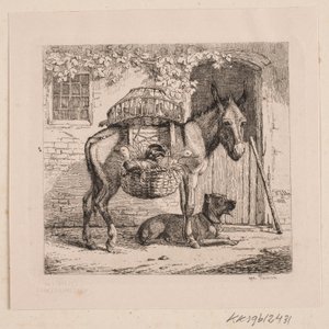Der Esel des Hühnerhändlers von Johannes Wilhelm Zillen
