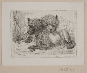 Zwei liegende Hunde