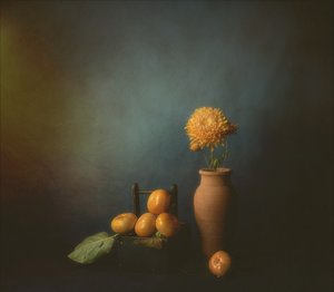 Herbstkaki Stillleben