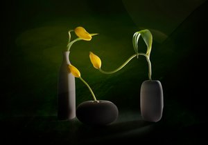 Grün-Gelbe Blumenvasen