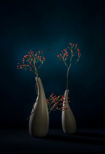 Rote Beeren Moderne Vasen