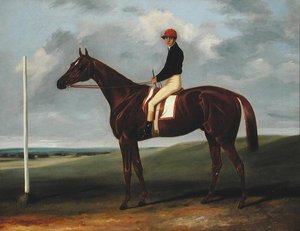 Kastanienbraunes Fohlen mit Jockey und Startpfosten