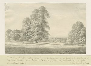 Lichfield Kathedrale - Ansicht von Aldershaw (fern)