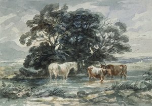 Landschaft, zwei Kühe und ein Pferd im Wasser (Skizze)