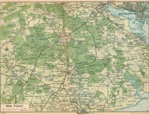 New Forest, 20. Jahrhundert