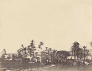 Ufer des Nils, Kalabsche von John Beasley Greene