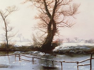Der gefrorene Teich, 1873