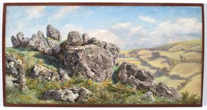 Chagford (Eine Moorlandschaft)