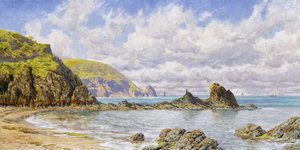 Wald Bucht, Cardigan Bay