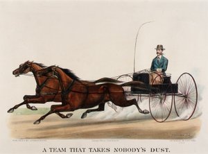 Ein Team, das niemanden im Staub lässt von John Cameron