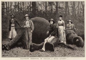 Elefantenjagd in Ceylon, eine riesige Beute