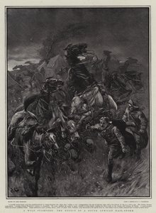 Eine wilde Stampede, die Wirkung eines südafrikanischen Hagelsturms