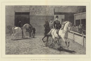 Die Pferdeschau in der Agricultural Hall, die Araber im Ring