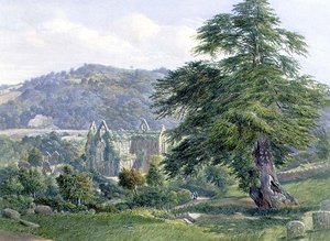 Tintern Abbey mit dem Wye dahinter
