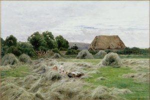 Heuwiese