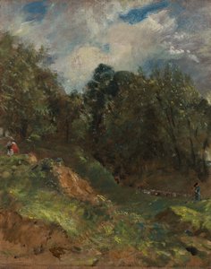Hampstead Heath von John Constable