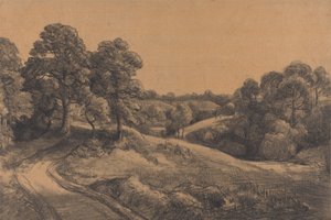Bewaldeter Hang mit einer zurückweichenden Straße