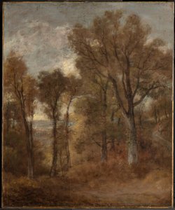 Waldszene mit Blick auf Dedham Vale von John Constable