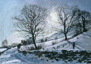 Winterlicher Nachmittag in Dentdale