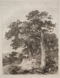 In Colney von John Crome