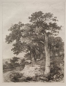 In Colney von John Crome