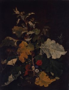 Studie einer Klette von John Crome