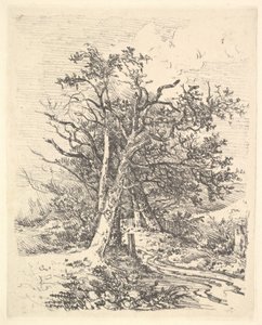 Baumstämme und Weg, 1811-13