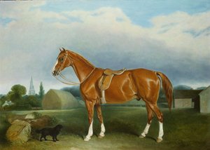 Ein Kastanienjäger und ein Spaniel bei Bauerngebäuden