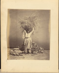 Indische Bäuerin mit Zweigen auf dem Kopf