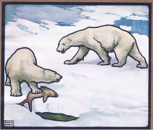 Eisbär