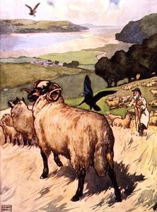 Der Adler und die Krähe aus 