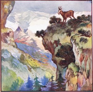 Um eine Chance zu haben, muss ich auf einem riesigen Felsen sein, etwa zweitausend Fuß über meinem Kopf