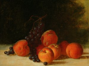 Stillleben mit Trauben und Pfirsichen, um 1845 von John F. Francis