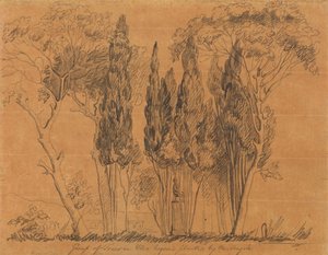 Bäume in der Villa Negroni, gepflanzt von M. Angelo von John Flaxman