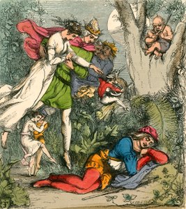 Robin Goodfellows Traum vom Feenland von John Franklin